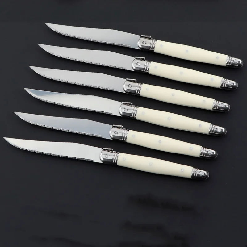 Laguiole Ivory White Stainless Steel Cutlery Set 4/6/24 Pcs Flatware Cutlery Set Axl B 6pcs knives set
