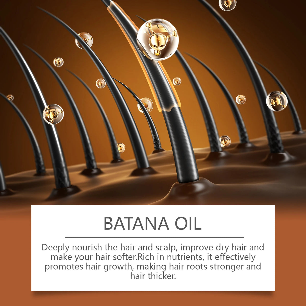 West Month Batana Oil Conditioner – Moisturizing Hair Care 120g Hair Conditioner Axl