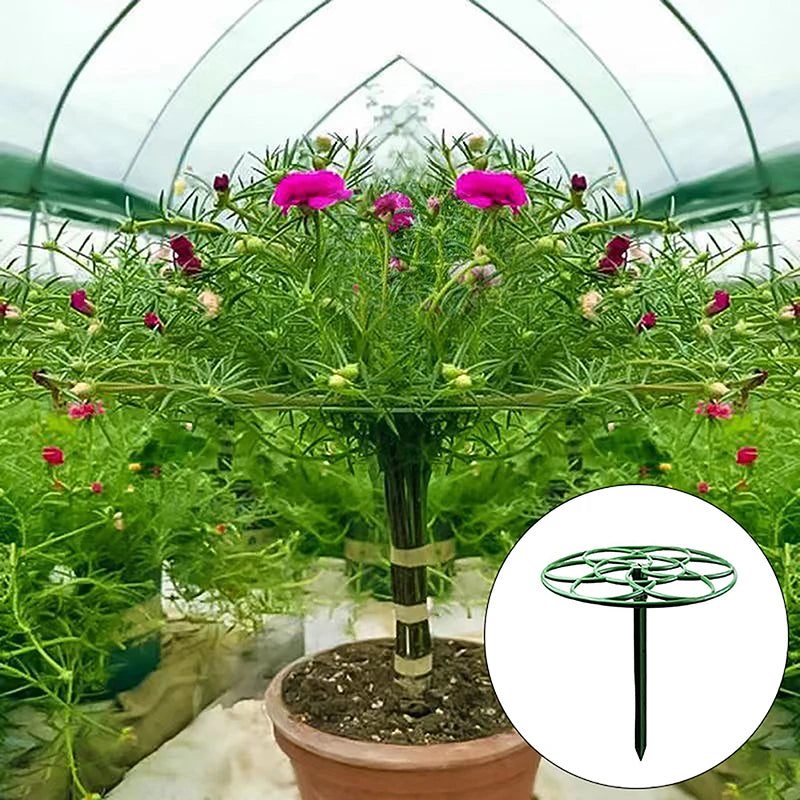 Stackable Plant Climbing Frame – Bonsai & Vine Support Cage Plant Support Frame Axl