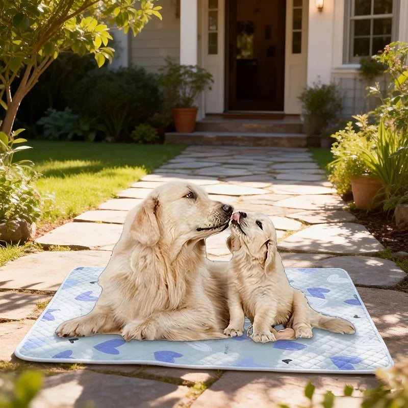 2-Pack Washable Dog Training Pads – Odor Resistant | KEMORELA Dog Training Pad Axl