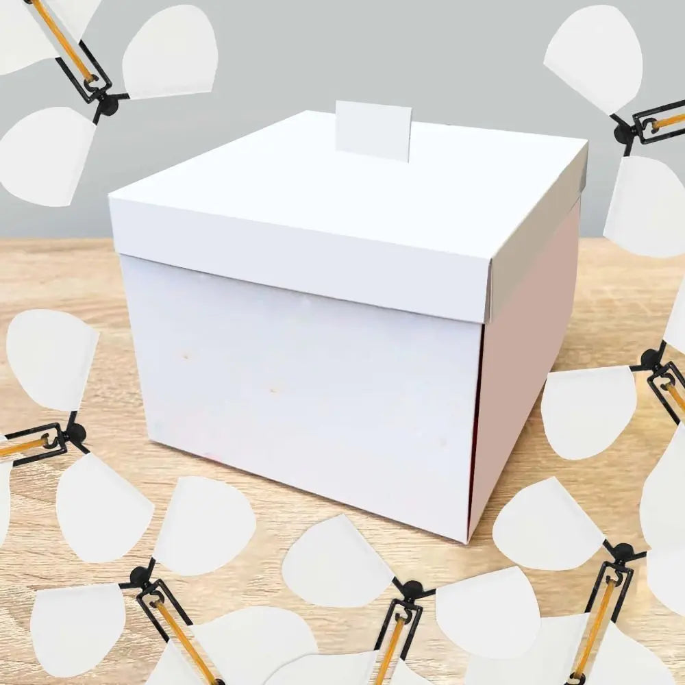 Surprise Flying Butterfly Gift Box – Party Prank & Decoration Surprise Gift Box Axl