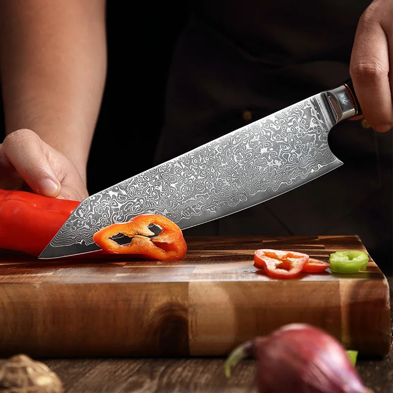 XUAN FENG 67-Layer Damascus Steel Chef's Knife – 9" Japanese Damascus Chef's Knife Axl