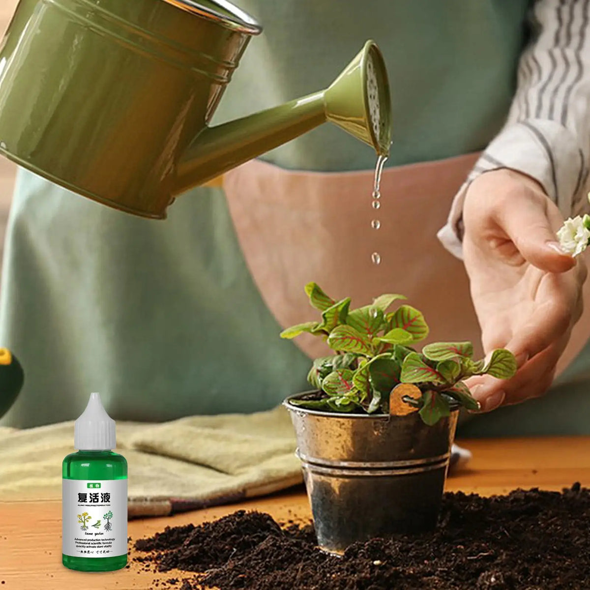 Plant Nutrient Solution 50ml – Organic Liquid Fertilizer for Plants Liquid Plant Fertilizer Axl