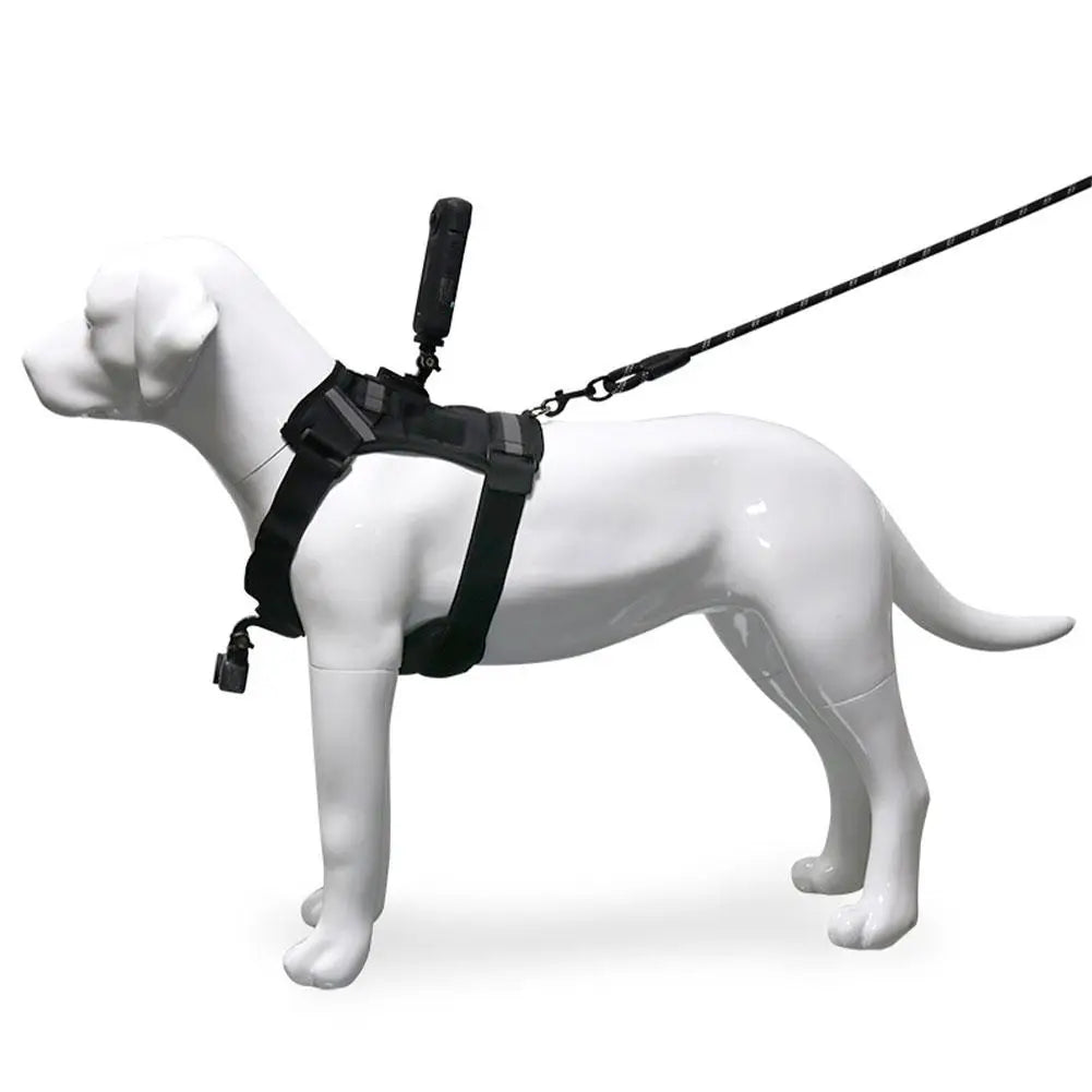 Pet Action Camera Harness Mount – GoPro, DJI & Insta360 Pet Camera Harness Axl