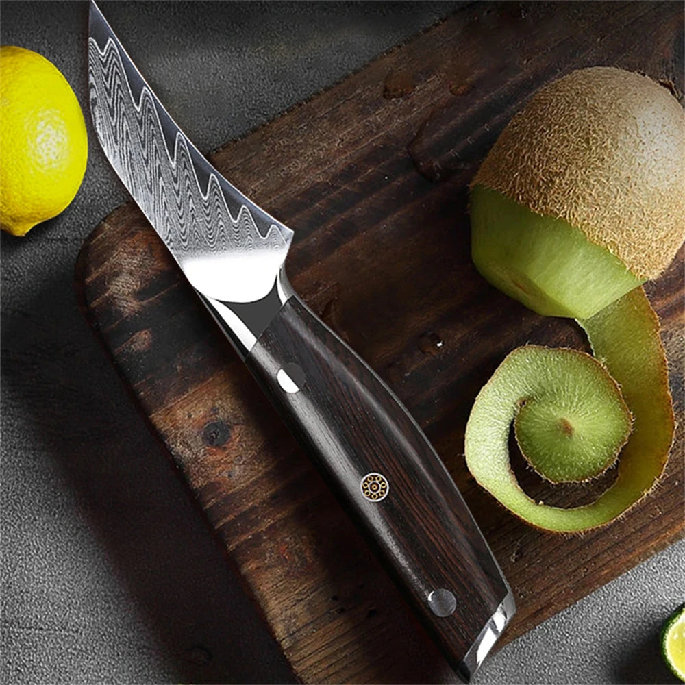 67-Layer Damascus Steel Paring Knife – Fruit Peeling Knife Damascus Paring Knife Axl