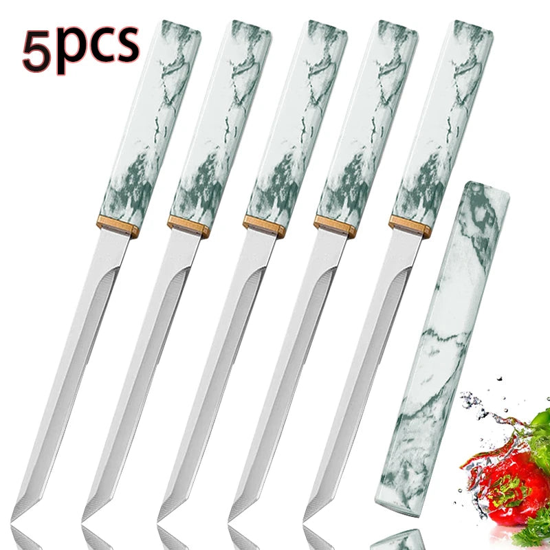 Professional Outdoor Camping Knife with Sheath – Stainless Steel Outdoor Camping Knife Axl 5pcs