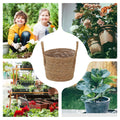 Woven Seagrass Plant Basket with Handle | Indoor & Outdoor Woven Plant Basket Axl Default Title