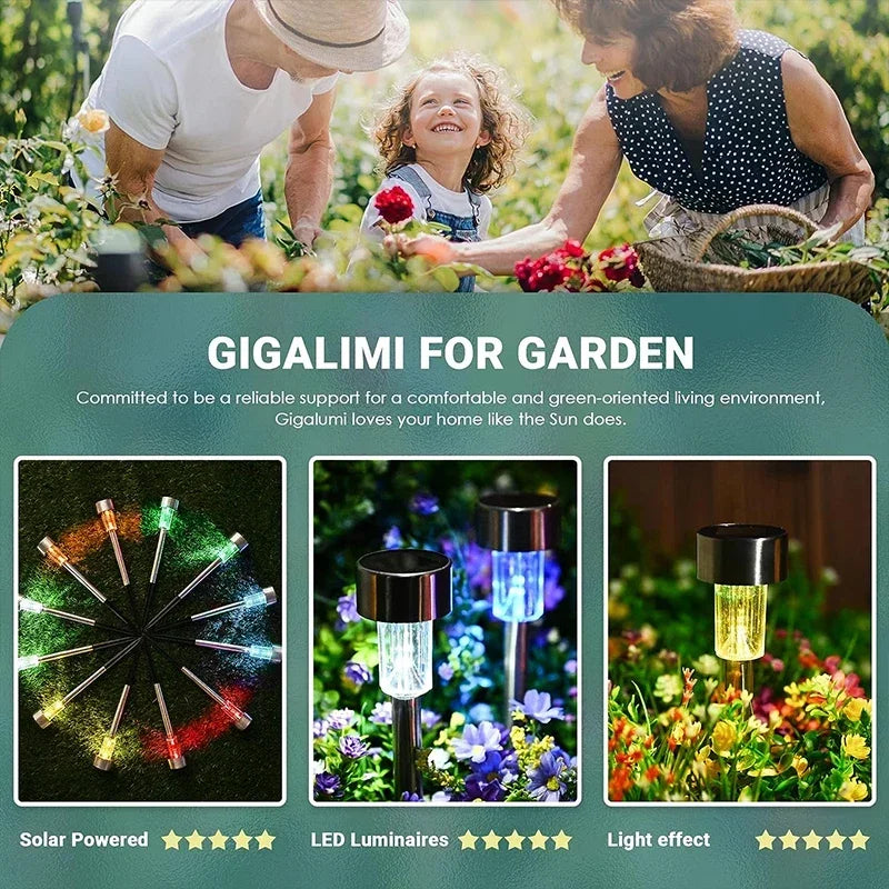 10-Pack Solar Garden Lantern Lights – Waterproof Pathway Lamps Solar Garden Lights Axl