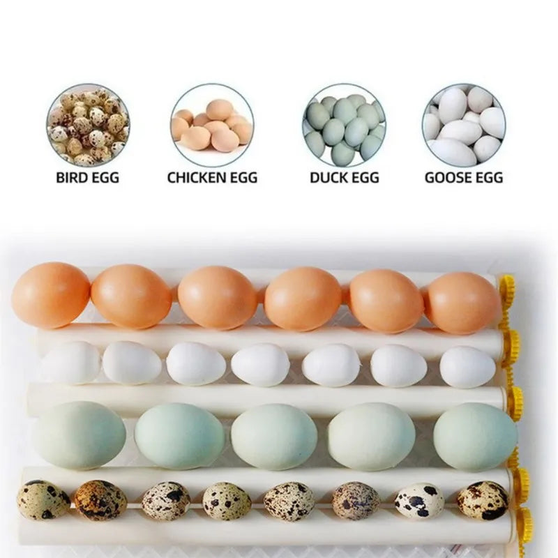Automatic 16-Egg Incubator – Auto Turner & Poultry Hatcher Egg Incubator Axl