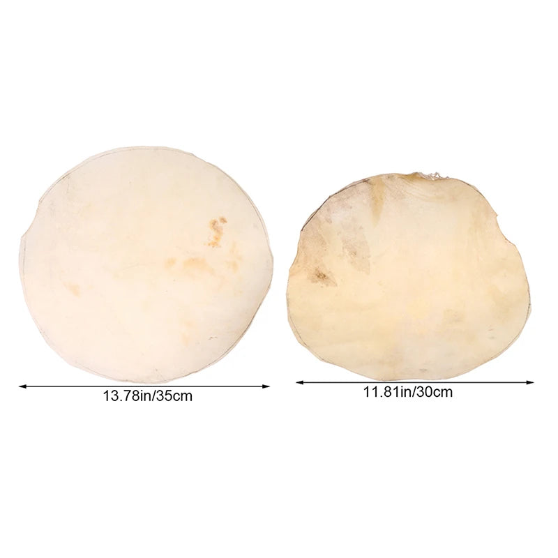 Goat Skin Drum Head 30cm/35cm – Djembe & Bongo Replacement Replacement Drum Head Axl