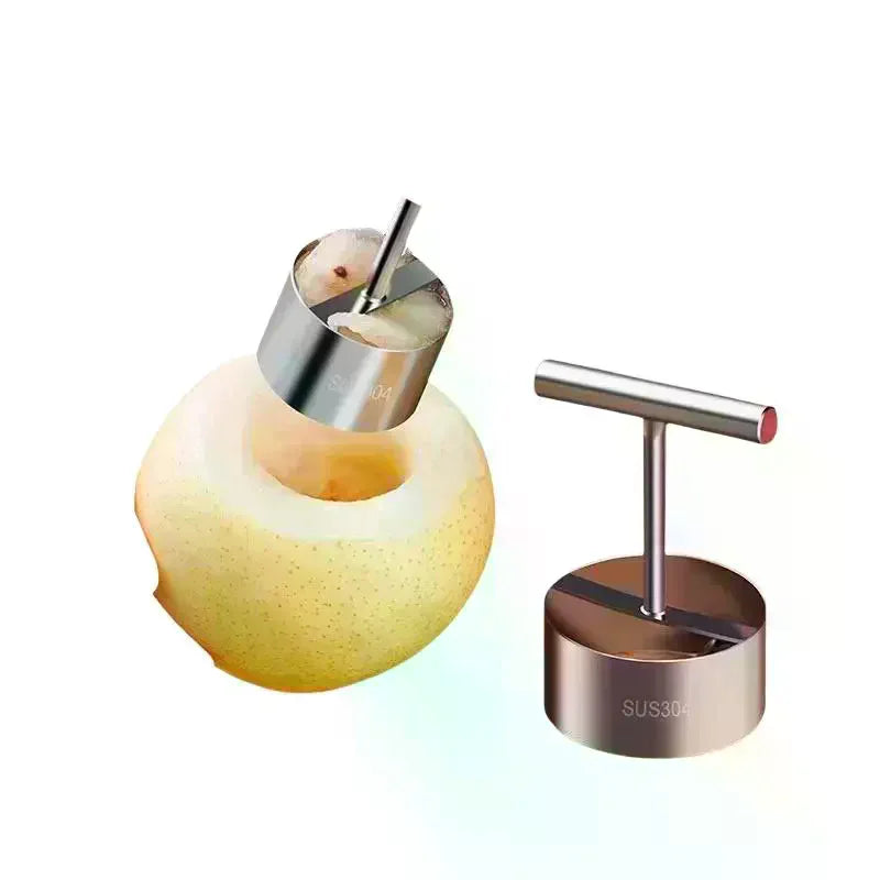 Stainless Steel Fruit Corer – Apple & Pear Core Remover Fruit Corer Tool Axl