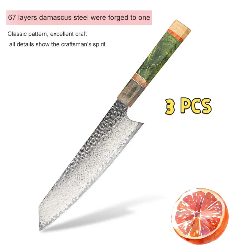 8-Inch 67-Layer VG10 Damascus Chef Knife – Wood Handle Damascus Chef Knife Axl 3 PCS China Mainland