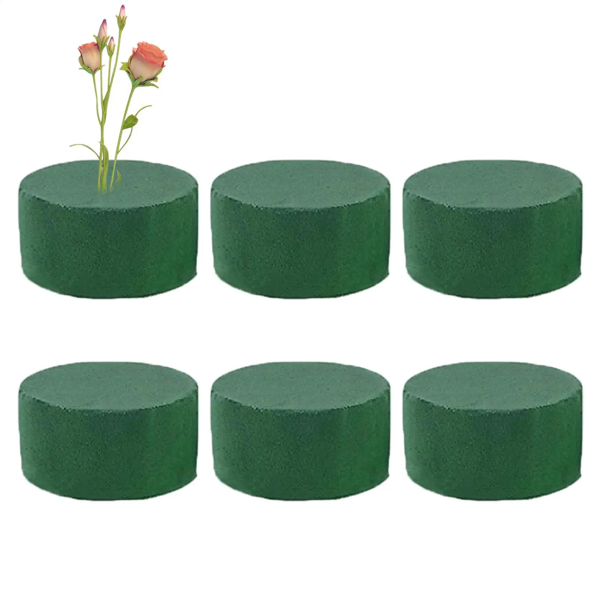 Round Floral Foam Blocks for Flower Arranging – 6 Pcs Set Floral Foam Blocks Axl