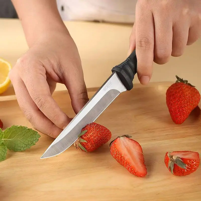 Professional Stainless Steel Paring Knife – Fruit & Boning Paring Knife Axl