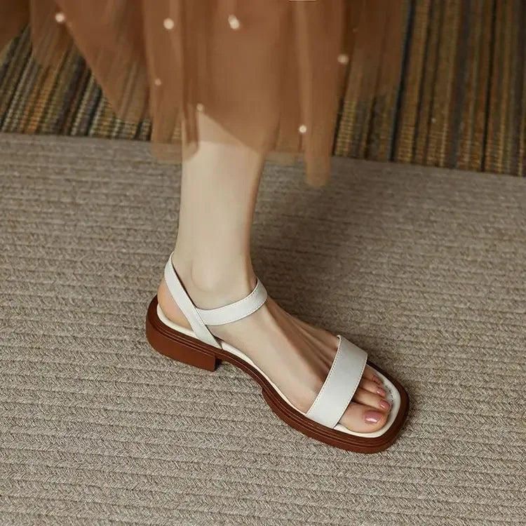 Women's Low Heel Gladiator Sandals – Buckle Strap Summer Shoes Women's Sandals Axl