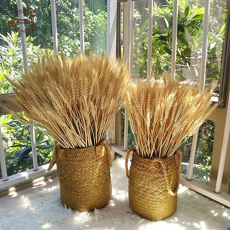 Dried Wheat Spikes Bouquet – Boho Home & Wedding Decor Dried Flower Bouquet Axl