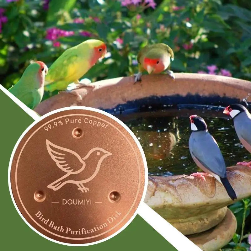 Pure Copper Bird Bath Purification Disk | Algae-Inhibiting Bird Bath Accessory Axl