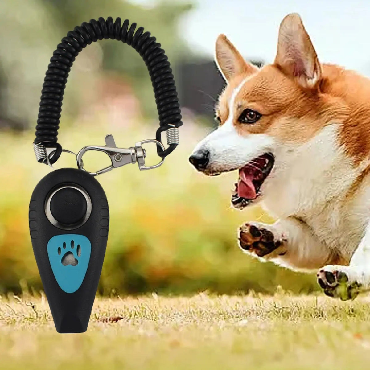 2-in-1 Dog Training Clicker & Silent Whistle + Wrist Strap Dog Training Clicker Axl