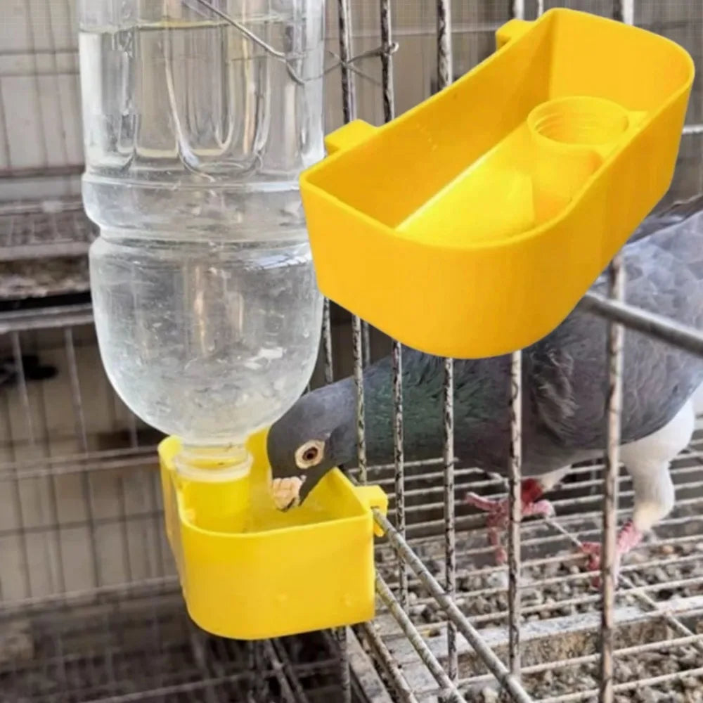 Hanging Bird Water Dispenser & Feeder for Parrot & Pigeon Bird Water Dispenser Axl