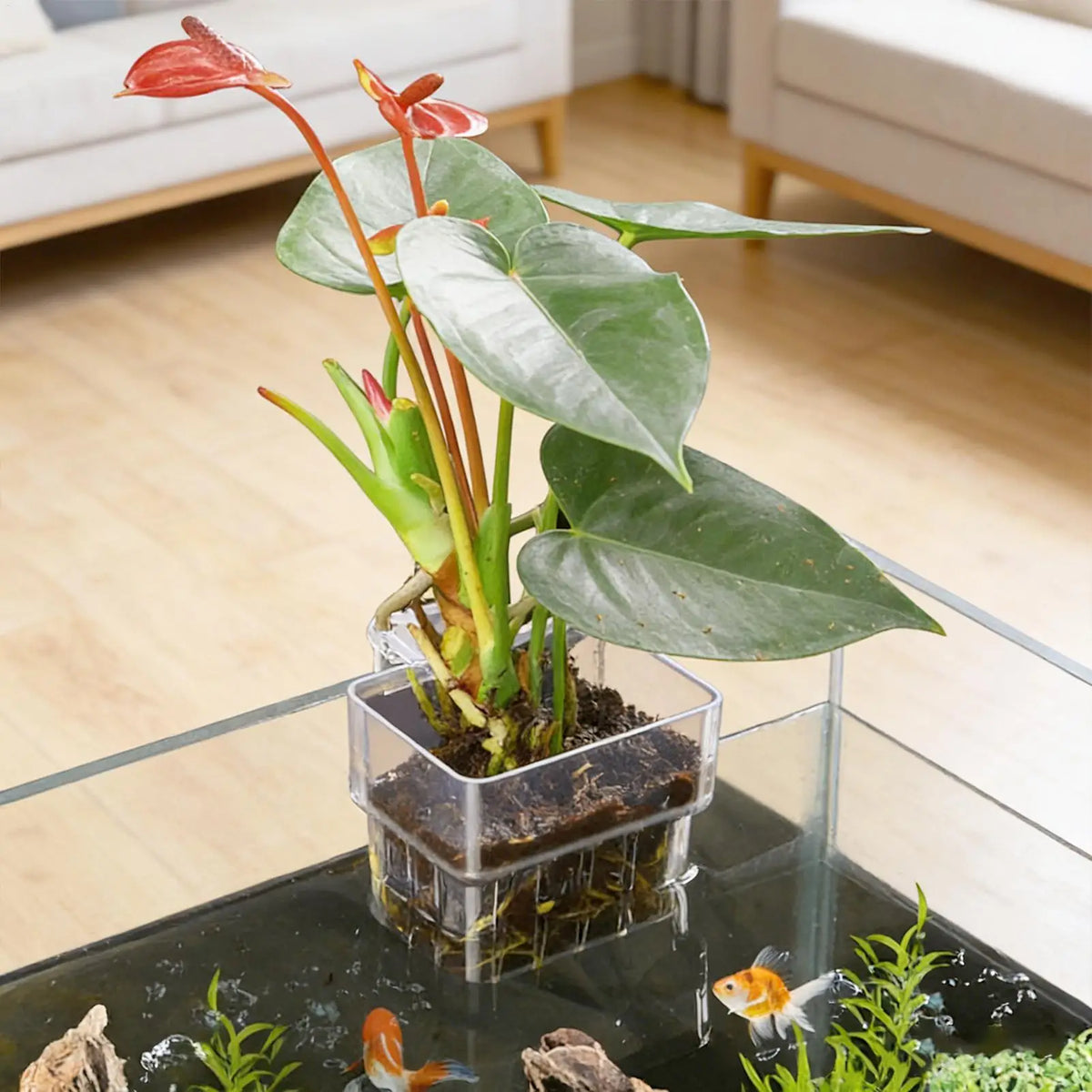 Aquarium Wall-Mount Plant Holder – Transparent Hydroponic Basket Aquarium Plant Holder Axl
