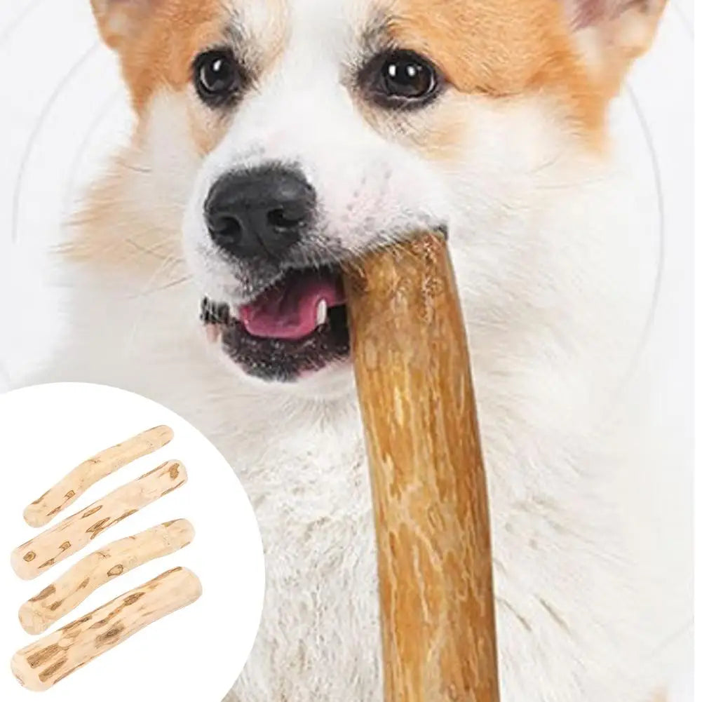 Natural Coffee Wood Dog Chew Sticks – Dental & Safe Dog Chew Toy Axl