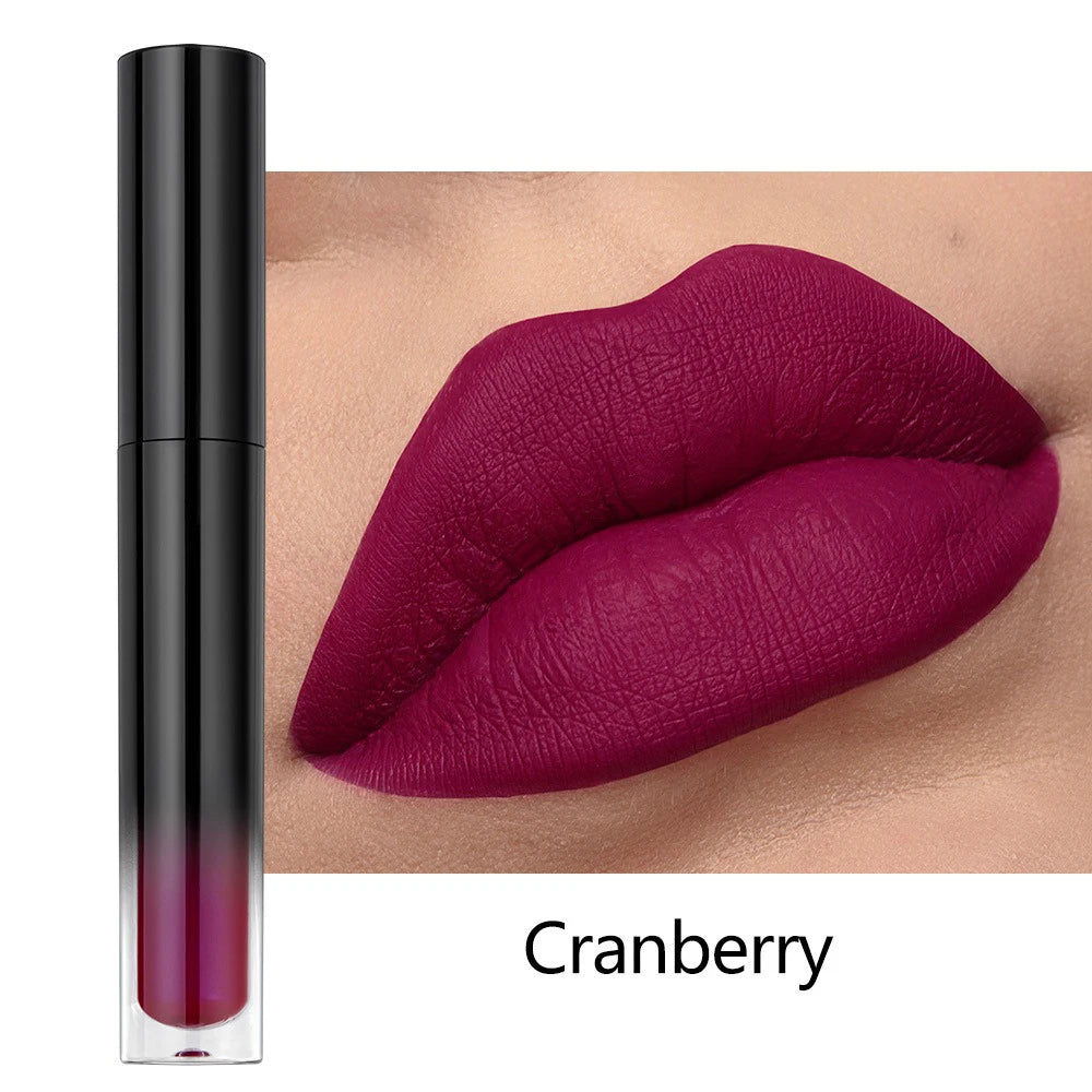 Waterproof Matte Liquid Lipstick – Vegan Custom Label Lip Gloss Liquid Lipstick Axl