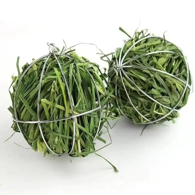 Stainless Steel Hanging Hay Feeder Ball for Small Pets Small Pet Feeder Axl