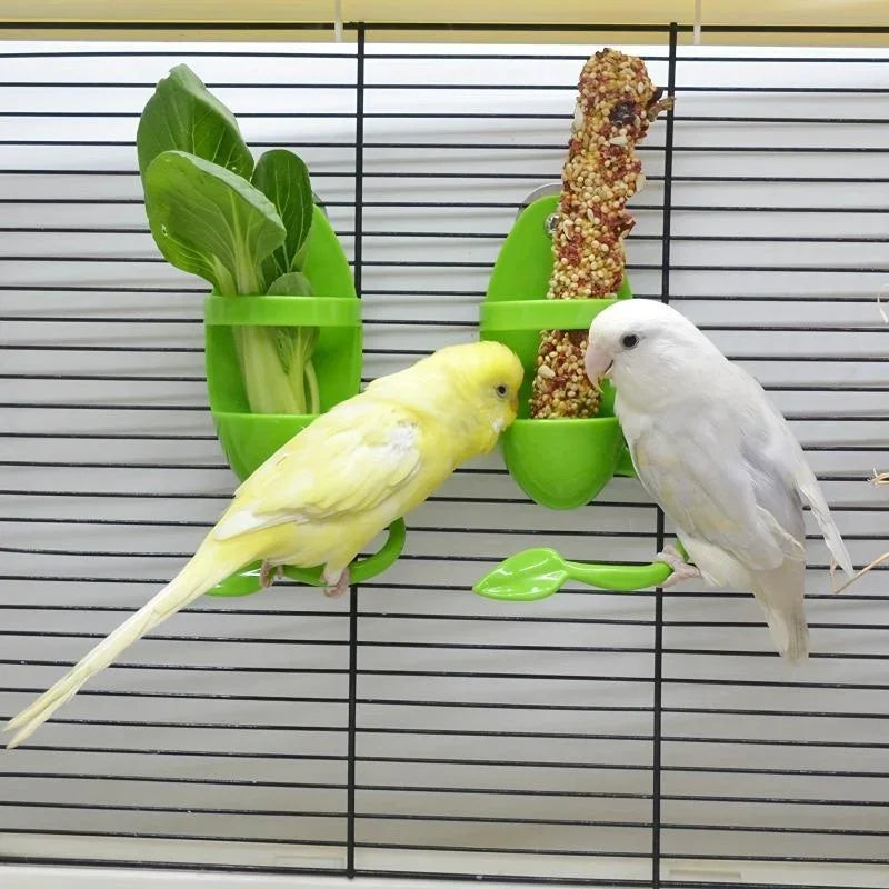Bird Cuttlebone & Food Holder for Parrot, Budgie & Cockatiel Bird Cage Feeder Axl