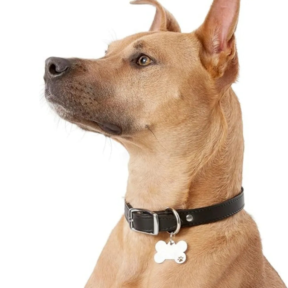 Personalized Bone-Style Stainless Steel Dog Name Tag | Pet ID Pet ID Tag Axl