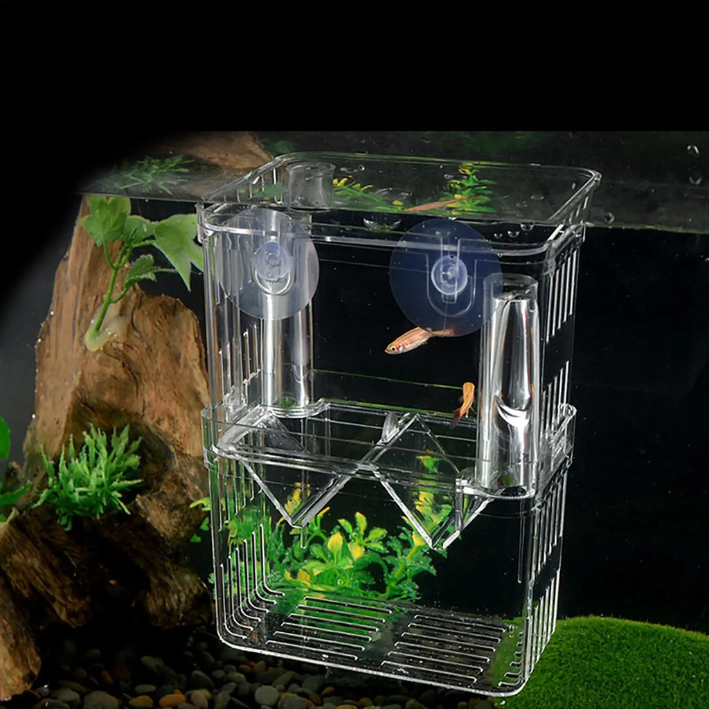 Acrylic Fish Breeding Box – Aquarium Nursery & Hatchery Aquarium Breeder Box Axl