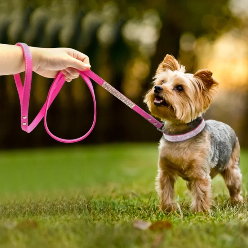 Rhinestone Crystal Dog Collar – Bling Pet Collar for Small Dogs Rhinestone Pet Collar Axl