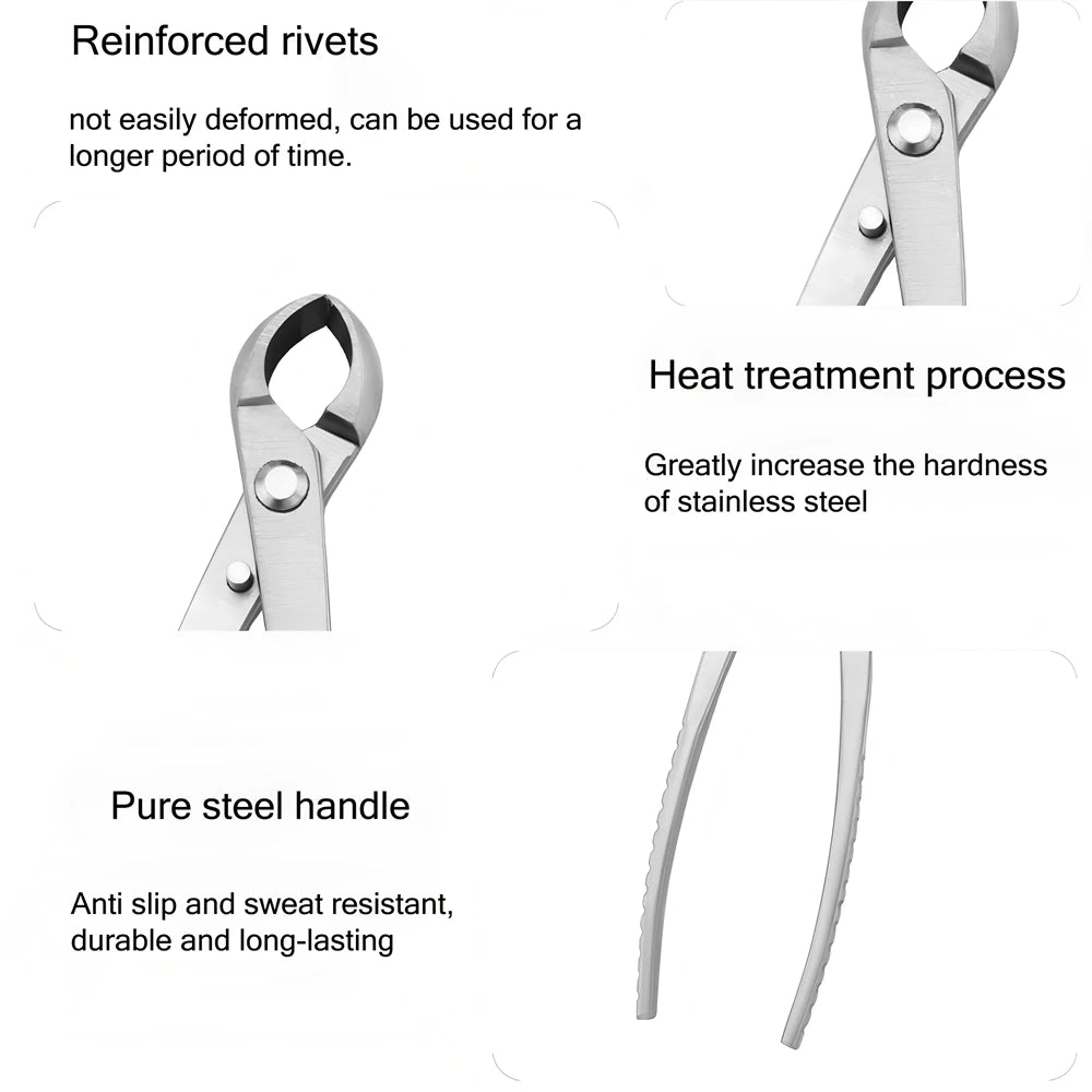 Stainless Steel Ball Shears – Bonsai & Topiary Pruning Tool Topiary Pruning Shears Axl