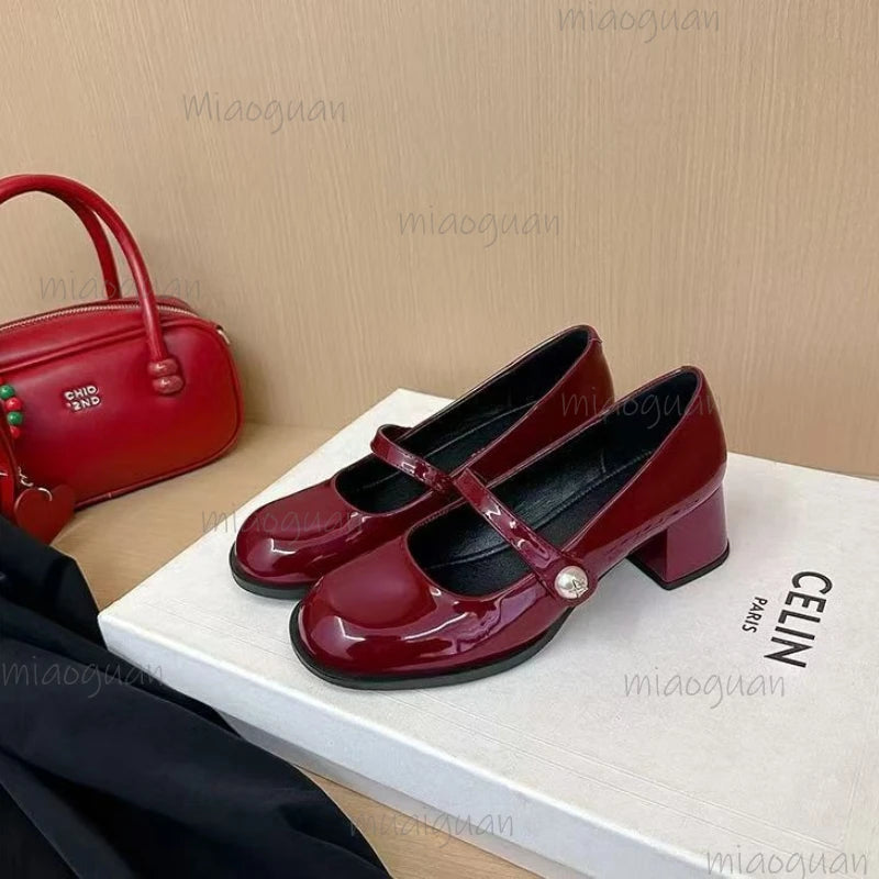 Women's Vintage Mary Jane Block Heel Pumps | Buckle Strap Block Heel Pumps Axl