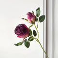 20pcs Burnt Edge Artificial Rose Stems | Dual-Head 34cm Décor Artificial Flower Stems Axl PURPLE