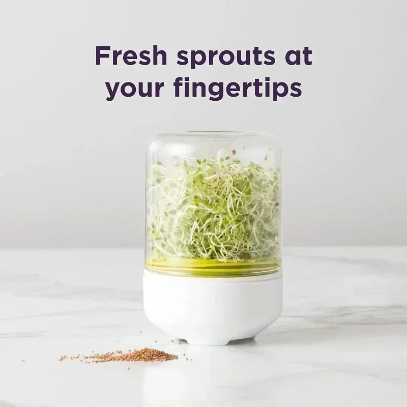 Countertop Sprouting Jar Kit – Borosilicate Glass Sprout Grower Sprouting Jar Kit Axl