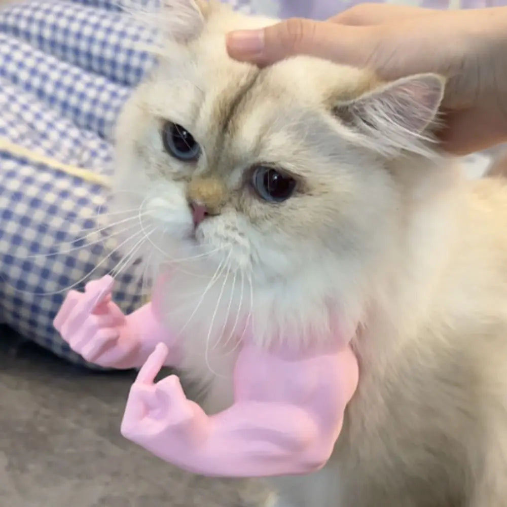Funny 3D Printed Cat Muscle Arms – Halloween Cat Costume Prop Cat Costume Prop Axl