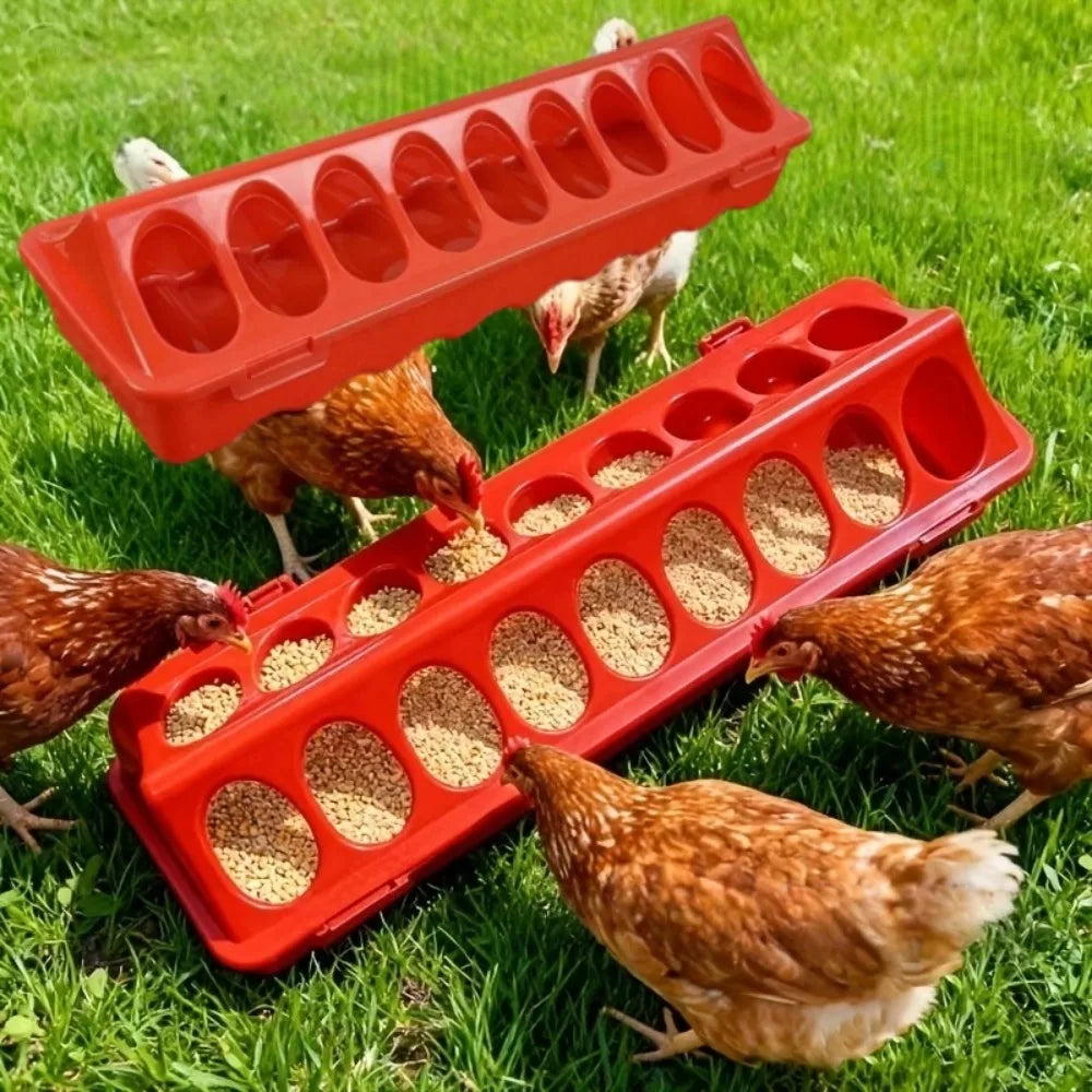 12/18 Hole Double Row Plastic Poultry Ground Feeder – Chickens Poultry Ground Feeder Axl