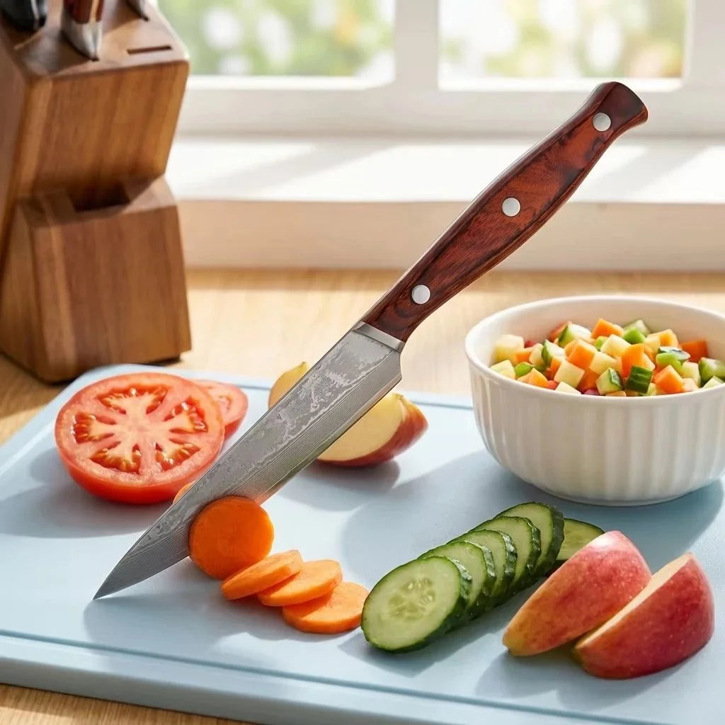 67-Layer Damascus VG10 Paring & Fruit Knife | Wood Handle Damascus Paring Knife Axl