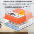 Automatic Egg Incubator – 16 Chicken/12 Duck Eggs, Auto Turner Egg Incubator Axl 16 EU Plug China Mainland