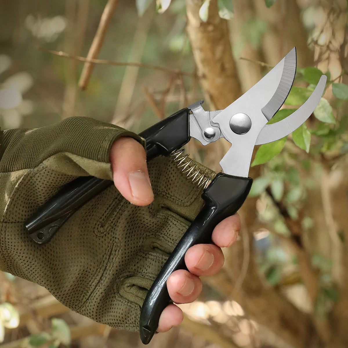Stainless Steel Grafting & Pruning Shears | Fruit Tree Garden Tool Pruning Shears Axl