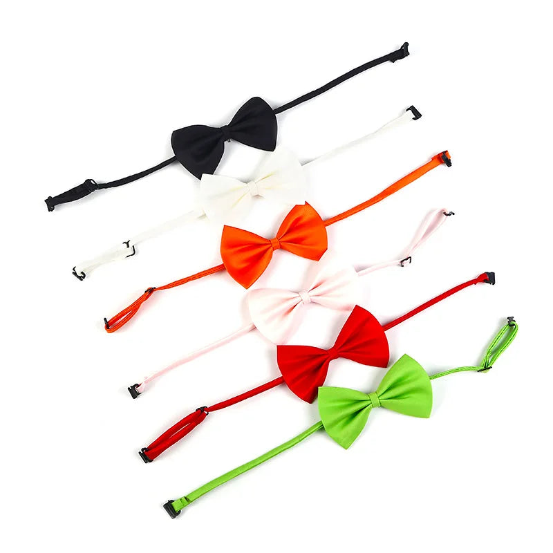 Adjustable Pet Bow Tie Collar for Dogs, Cats & Puppies Pet Bow Tie Collar Axl