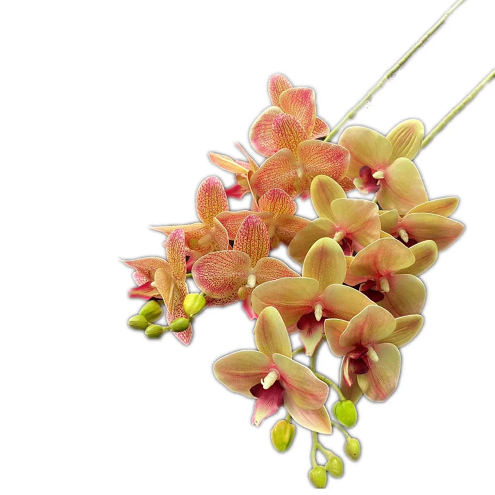 Artificial Phalaenopsis Orchid Branch – 7 Heads, Real Touch 69cm Artificial Flower Stem Axl