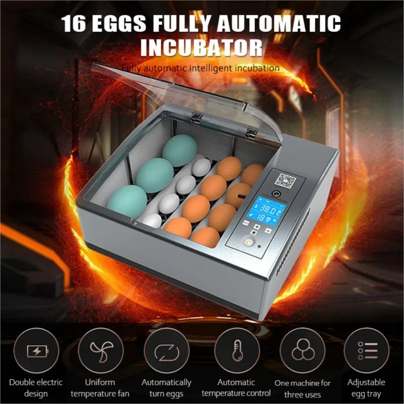 Automatic 16-Egg Incubator – Auto Turner & Poultry Hatcher Egg Incubator Axl