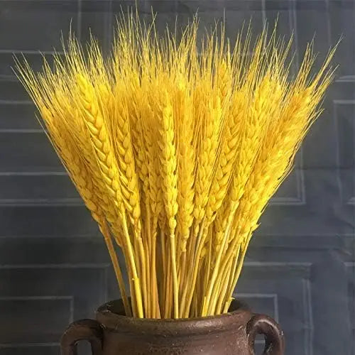 Dried Wheat Spikes Bouquet – Boho Home & Wedding Decor Dried Flower Bouquet Axl Golden 200PCS