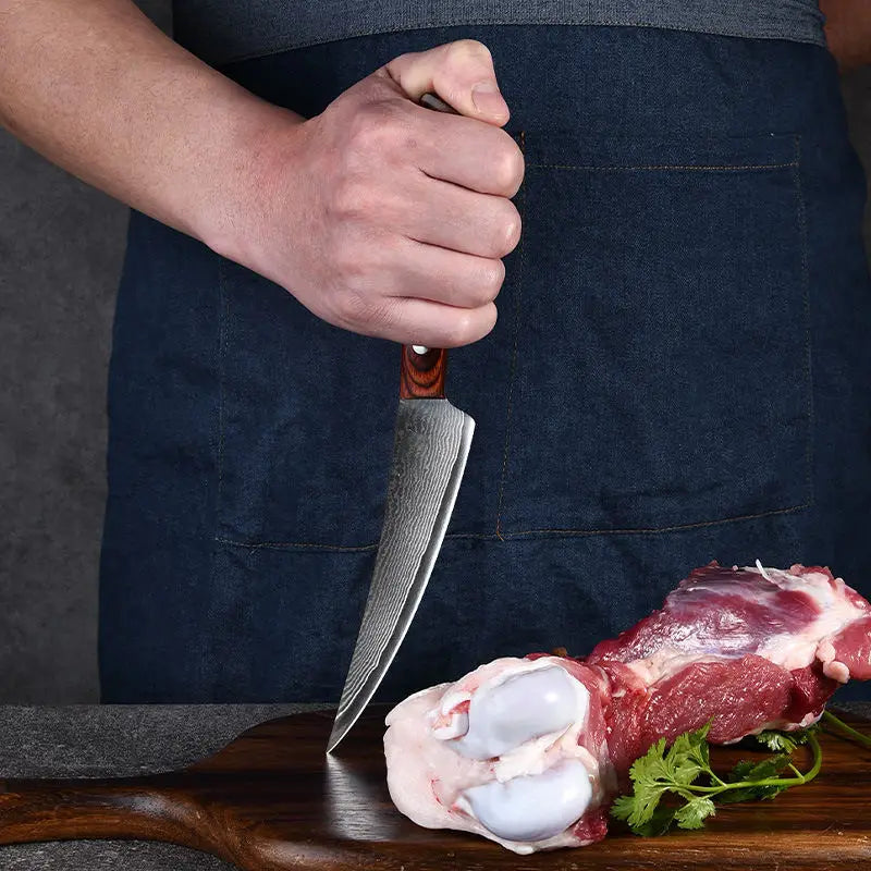 5.5" Damascus Steel Boning Knife – 67-Layer Professional Blade Damascus Boning Knife Axl