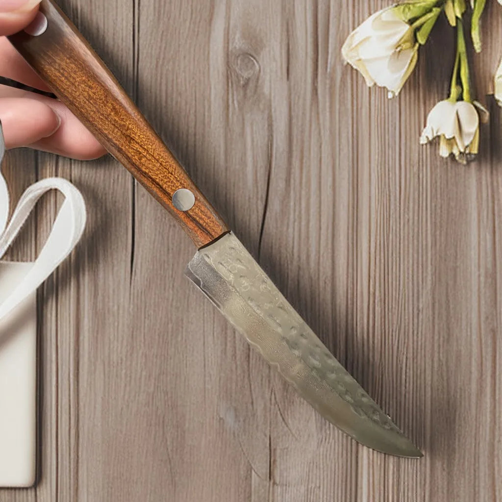 67-Ply Damascus Steel Steak Knife Set | Wood Handle 2/4/6 Pc Damascus Steak Knife Set Axl