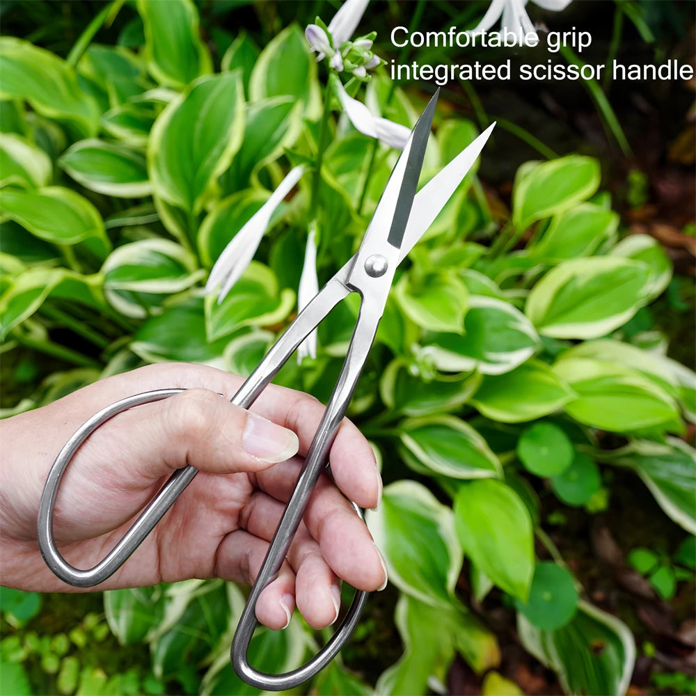Stainless Steel Pruning Shears – Garden Scissors for Flowers Pruning Shears Axl