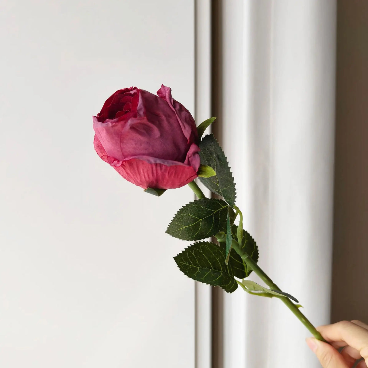 10-Pack Burnt Edge Artificial Silk Rose Stems 50cm | Faux Flowers Artificial Flower Stems Axl Burgundy