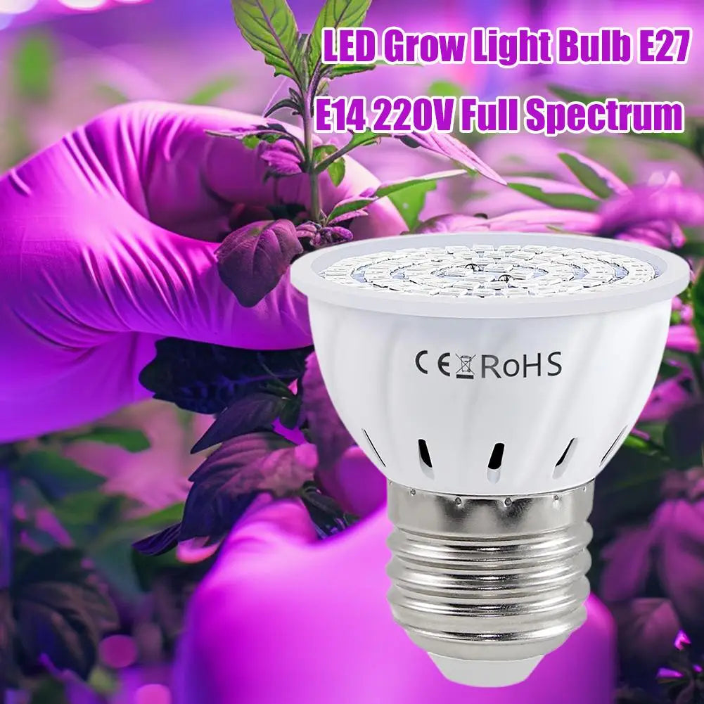 E27 Full Spectrum LED Grow Bulb – 60/80 LED Indoor Plant Light LED Grow Light Axl