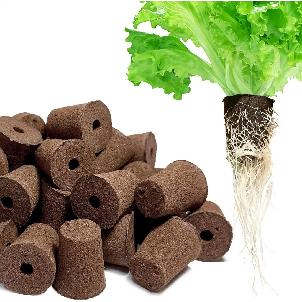Hydroponic Growing Sponges 50-Pack – Seed Pod & Clone Kit Hydroponic Growing Sponges Axl